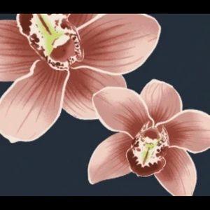 *SOLD* NWT Acacia Mombasa Isle S